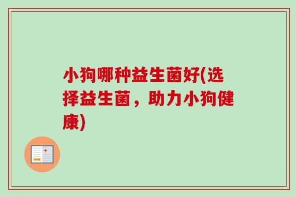 小狗哪种益生菌好(选择益生菌，助力小狗健康)