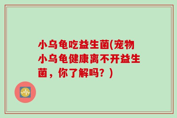 小乌龟吃益生菌(宠物小乌龟健康离不开益生菌,你了解吗?) 小乌龟吃益生菌(宠物小乌龟健康离不开益生菌,你了解吗?)
