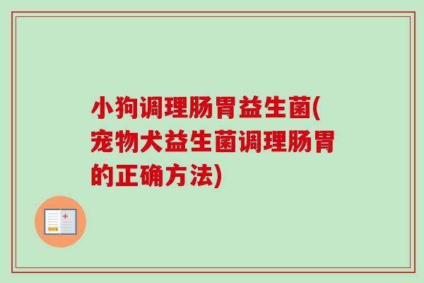 小狗调理肠胃益生菌(宠物犬益生菌调理肠胃的正确方法)