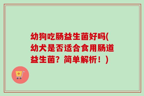 幼狗吃肠益生菌好吗(幼犬是否适合食用肠道益生菌？简单解析！)