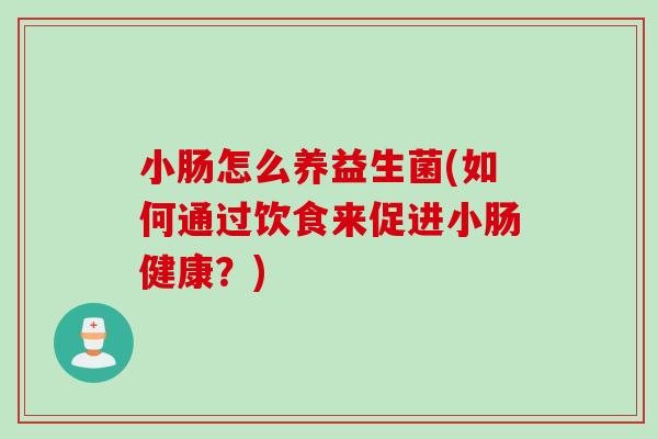 小肠怎么养益生菌(如何通过饮食来促进小肠健康?) 小肠怎么养益生菌(如何通过饮食来促进小肠健康?)