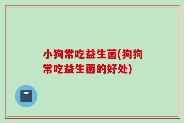 小狗常吃益生菌(狗狗常吃益生菌的好处)