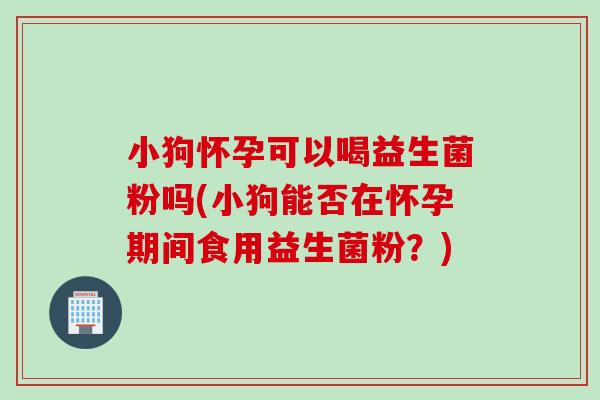 小狗怀孕可以喝益生菌粉吗(小狗能否在怀孕期间食用益生菌粉？)