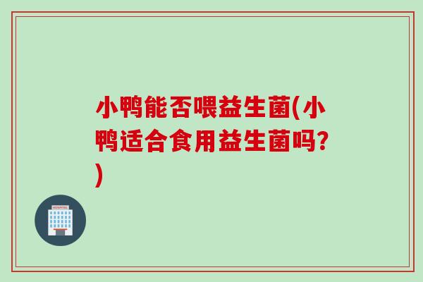 小鸭能否喂益生菌(小鸭适合食用益生菌吗?) 小鸭能否喂益生菌(小鸭适合食用益生菌吗?)