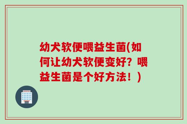 幼犬软便喂益生菌(如何让幼犬软便变好？喂益生菌是个好方法！)