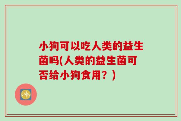 小狗可以吃人类的益生菌吗(人类的益生菌可否给小狗食用？)