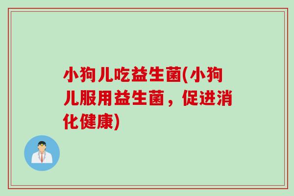 小狗儿吃益生菌(小狗儿服用益生菌，促进消化健康)