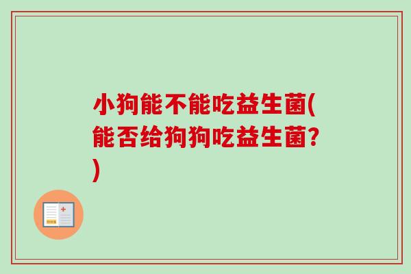 小狗能不能吃益生菌(能否给狗狗吃益生菌？)