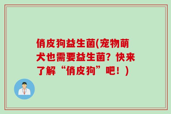 俏皮狗益生菌(宠物萌犬也需要益生菌？快来了解“俏皮狗”吧！)
