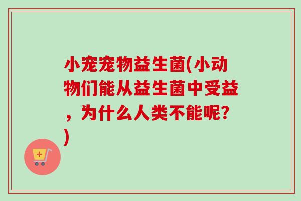 小宠宠物益生菌(小动物们能从益生菌中受益,为什么人类不能呢?) 小宠宠物益生菌(小动物们能从益生菌中受益,为什么人类不能呢?)