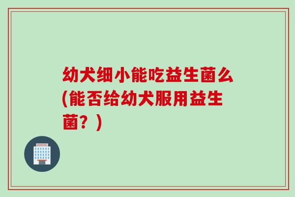 幼犬细小能吃益生菌么(能否给幼犬服用益生菌？)