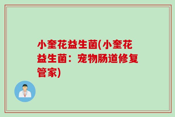 小奎花益生菌(小奎花益生菌:宠物肠道修复管家) 小奎花益生菌(小奎花益生菌:宠物肠道修复管家)