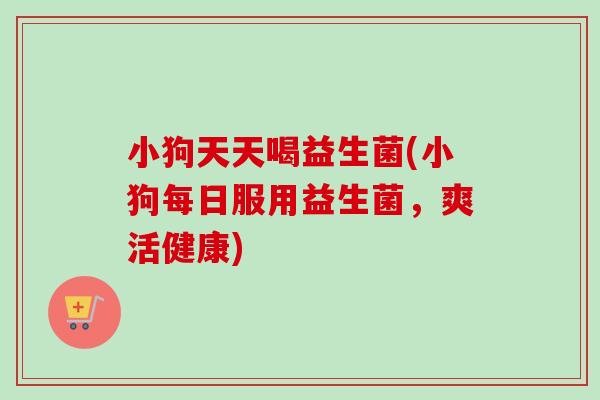 小狗天天喝益生菌(小狗每日服用益生菌，爽活健康)