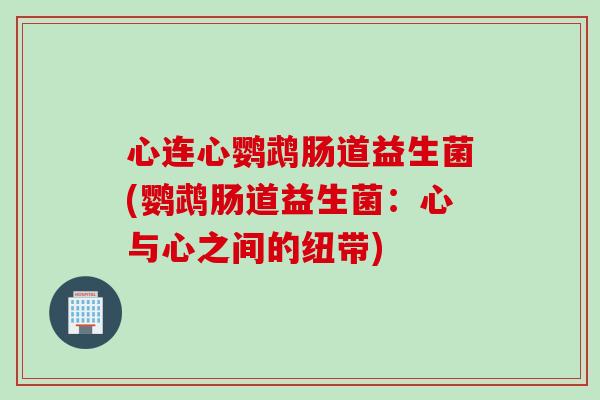 心连心鹦鹉肠道益生菌(鹦鹉肠道益生菌：心与心之间的纽带)