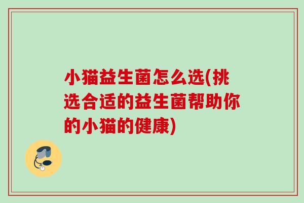 小猫益生菌怎么选(挑选合适的益生菌帮助你的小猫的健康)