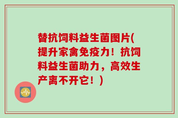 替抗饲料益生菌图片(提升家禽力！抗饲料益生菌助力，高效生产离不开它！)