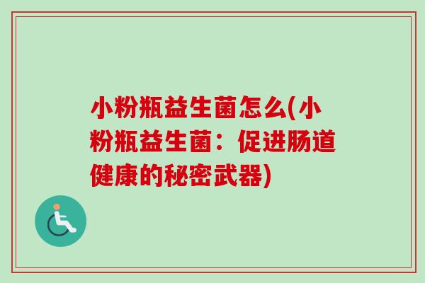 小粉瓶益生菌怎么(小粉瓶益生菌：促进肠道健康的秘密武器)