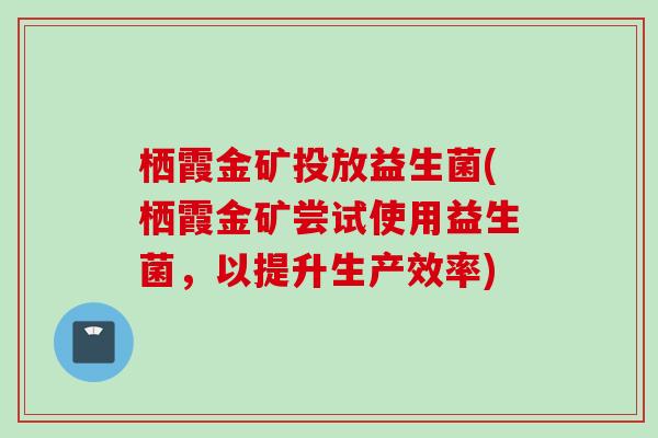 栖霞金矿投放益生菌(栖霞金矿尝试使用益生菌，以提升生产效率)