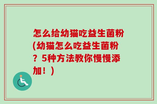 怎么给幼猫吃益生菌粉(幼猫怎么吃益生菌粉？5种方法教你慢慢添加！)