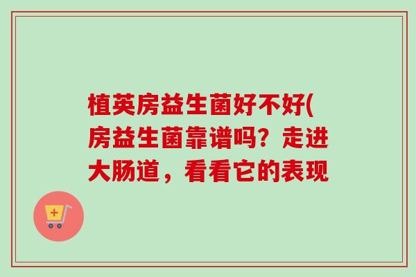 植英房益生菌好不好(房益生菌靠谱吗？走进大肠道，看看它的表现