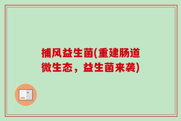 捕风益生菌(重建肠道微生态，益生菌来袭)