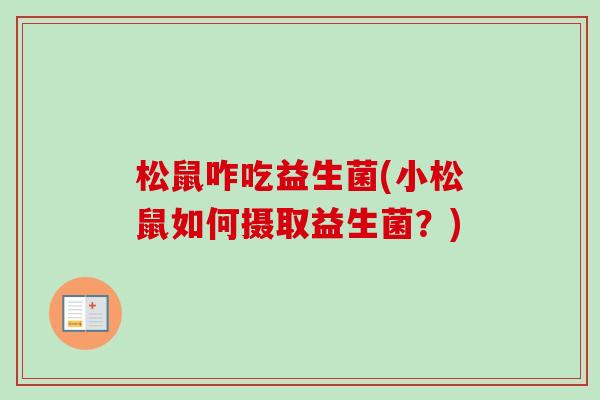 松鼠咋吃益生菌(小松鼠如何摄取益生菌？)