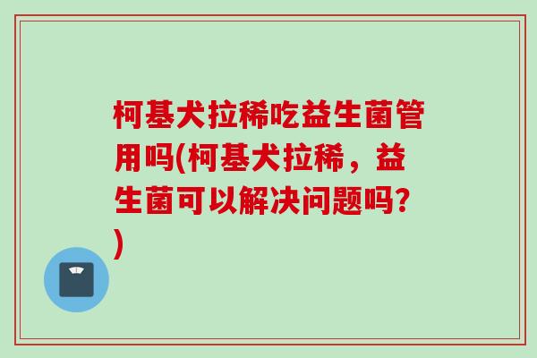 柯基犬拉稀吃益生菌管用吗(柯基犬拉稀，益生菌可以解决问题吗？)