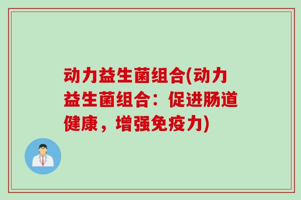 动力益生菌组合(动力益生菌组合：促进肠道健康，增强力)