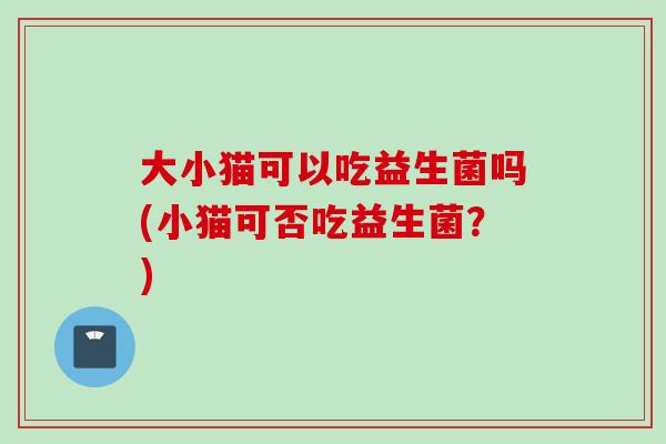 大小猫可以吃益生菌吗(小猫可否吃益生菌?) 大小猫可以吃益生菌吗(小猫可否吃益生菌?)