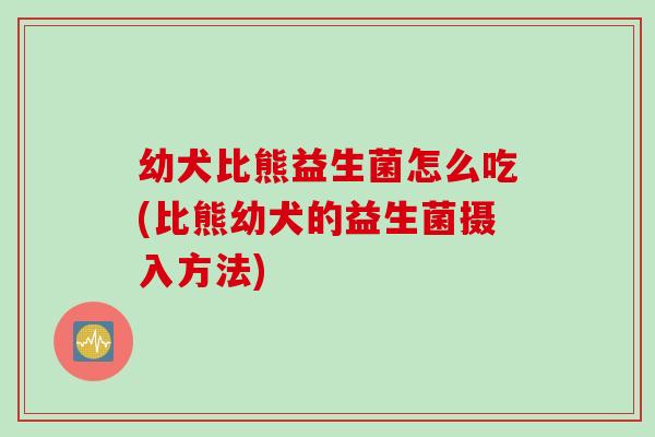 幼犬比熊益生菌怎么吃(比熊幼犬的益生菌摄入方法)
