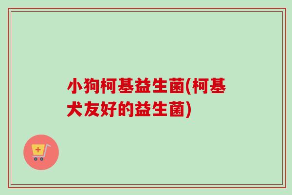 小狗柯基益生菌(柯基犬友好的益生菌) 小狗柯基益生菌(柯基犬友好的益生菌)