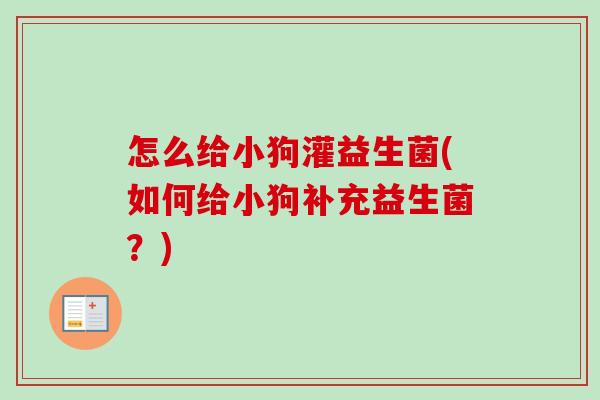 怎么给小狗灌益生菌(如何给小狗补充益生菌？)