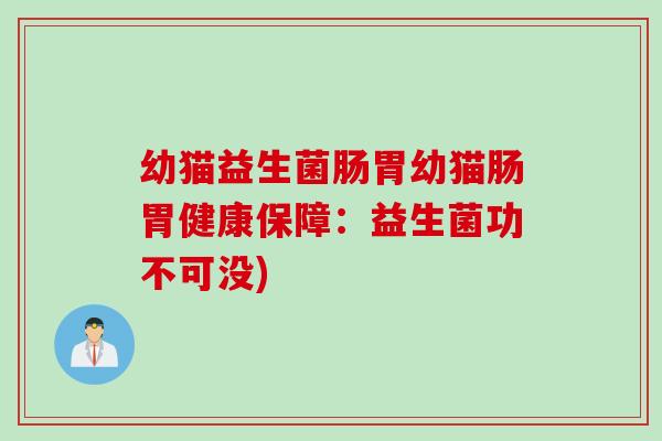 幼猫益生菌肠胃幼猫肠胃健康保障：益生菌功不可没)