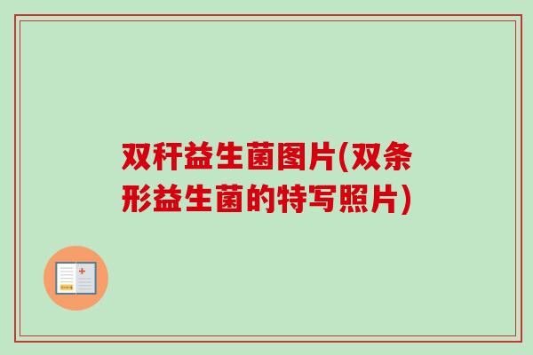 双秆益生菌图片(双条形益生菌的特写照片) 双秆益生菌图片(双条形益生菌的特写照片)