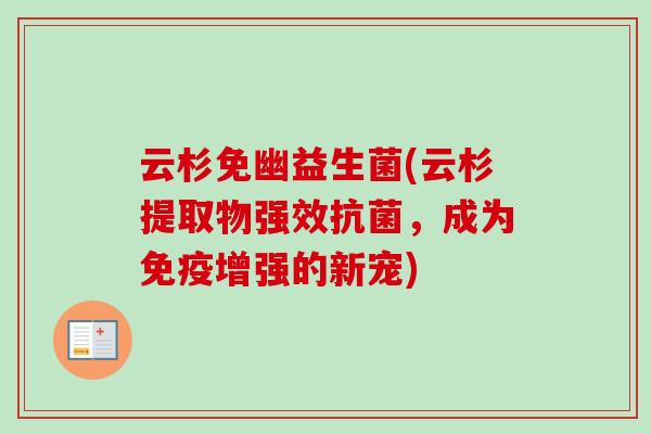 云杉免幽益生菌(云杉提取物强效,成为增强的新宠) 云杉免幽益生菌(云杉提取物强效,成为增强的新宠)