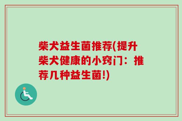 柴犬益生菌推荐(提升柴犬健康的小窍门:推荐几种益生菌!) 柴犬益生菌推荐(提升柴犬健康的小窍门:推荐几种益生菌!)