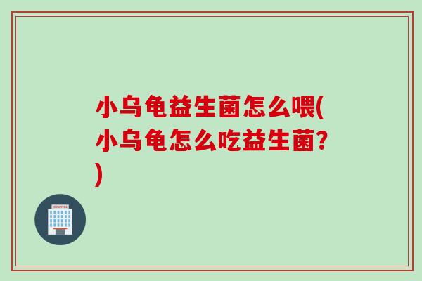 小乌龟益生菌怎么喂(小乌龟怎么吃益生菌？)