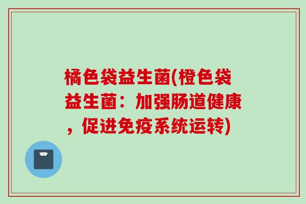 橘色袋益生菌(橙色袋益生菌：加强肠道健康，促进系统运转)