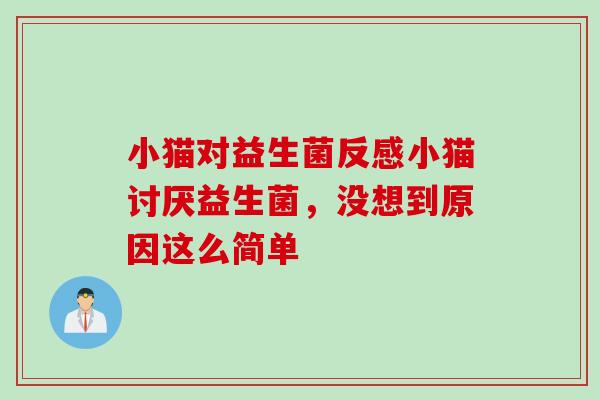 小猫对益生菌反感小猫讨厌益生菌,没想到原因这么简单 小猫对益生菌反感小猫讨厌益生菌,没想到原因这么简单