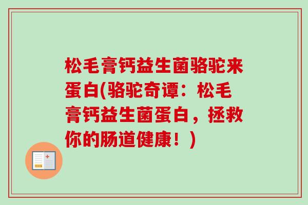 松毛膏钙益生菌骆驼来蛋白(骆驼奇谭：松毛膏钙益生菌蛋白，拯救你的肠道健康！)