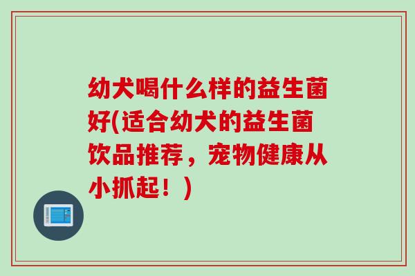 幼犬喝什么样的益生菌好(适合幼犬的益生菌饮品推荐，宠物健康从小抓起！)