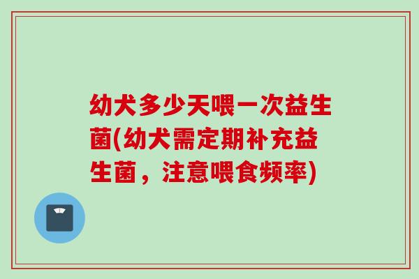 幼犬多少天喂一次益生菌(幼犬需定期补充益生菌，注意喂食频率)