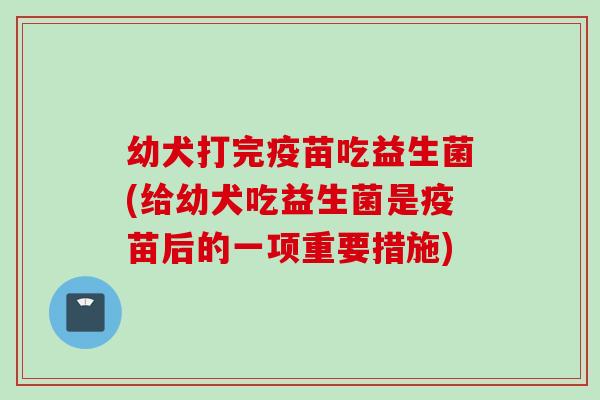 幼犬打完疫苗吃益生菌(给幼犬吃益生菌是疫苗后的一项重要措施)