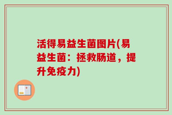活得易益生菌图片(易益生菌:拯救肠道,提升力) 活得易益生菌图片(易益生菌:拯救肠道,提升力)