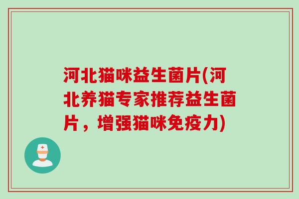 河北猫咪益生菌片(河北养猫专家推荐益生菌片，增强猫咪力)