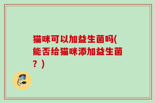 猫咪可以加益生菌吗(能否给猫咪添加益生菌？)