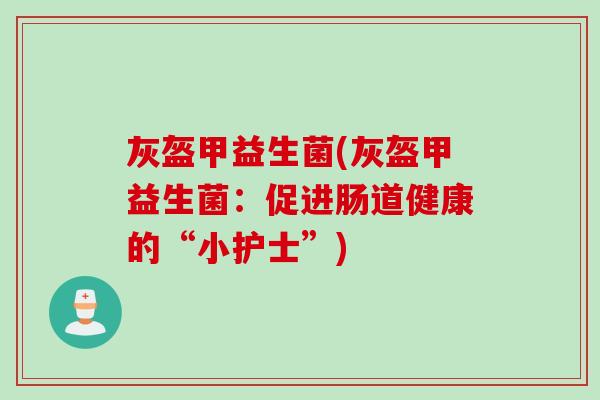 灰盔甲益生菌(灰盔甲益生菌：促进肠道健康的“小护士”)