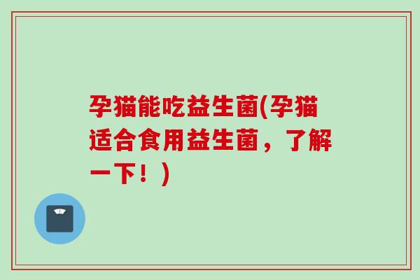 孕猫能吃益生菌(孕猫适合食用益生菌，了解一下！)