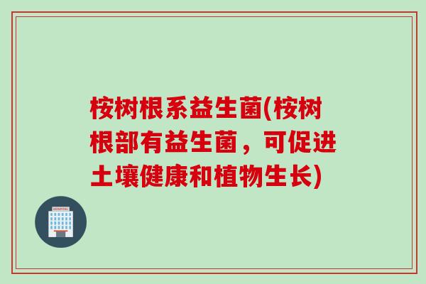 桉树根系益生菌(桉树根部有益生菌，可促进土壤健康和植物生长)