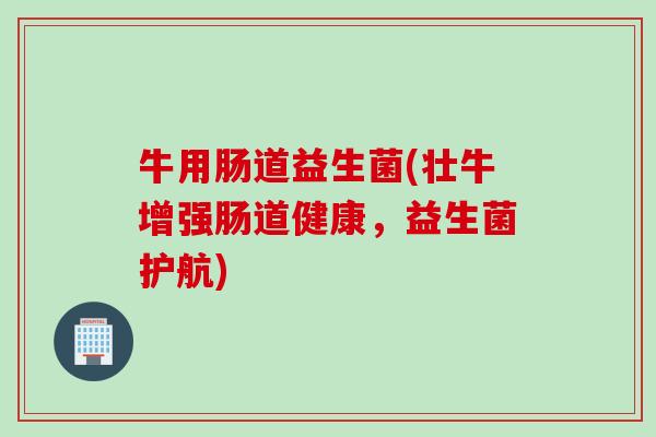 牛用肠道益生菌(壮牛增强肠道健康，益生菌护航)